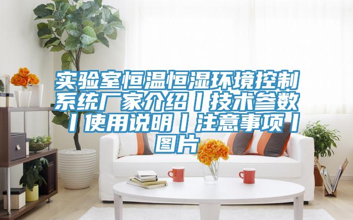 實(shí)驗(yàn)室恒溫恒濕環(huán)境控制系統(tǒng)廠家介紹丨技術(shù)參數(shù)丨使用說(shuō)明丨注意事項(xiàng)丨圖片