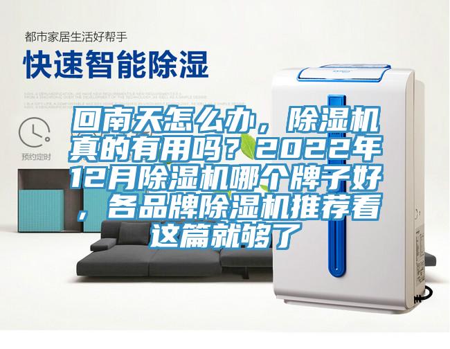 回南天怎么辦，除濕機真的有用嗎？2022年12月除濕機哪個牌子好，各品牌除濕機推薦看這篇就夠了