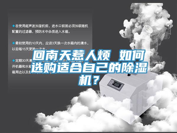 回南天惹人煩 如何選購適合自己的除濕機？