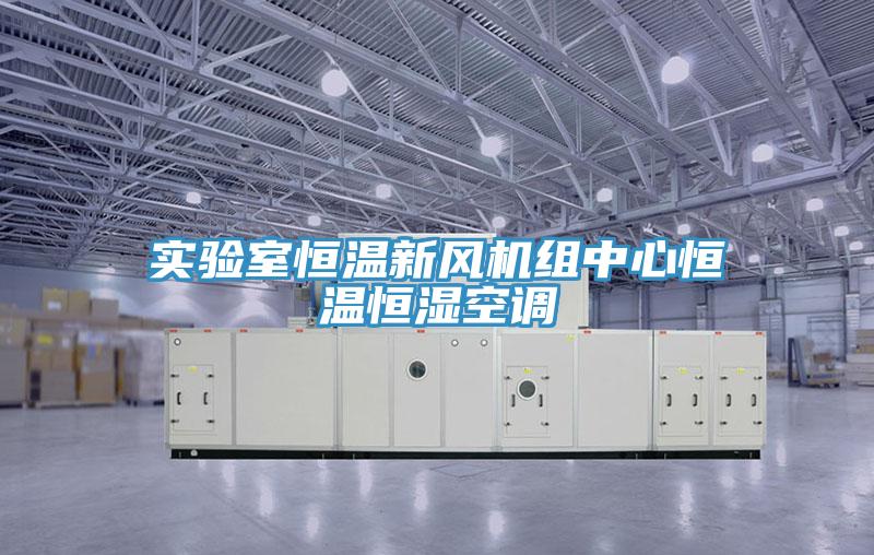 實(shí)驗室恒溫新風(fēng)機(jī)組中心恒溫恒濕空調(diào)