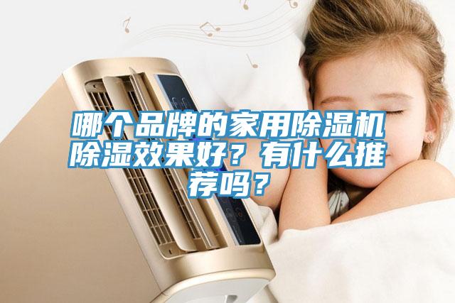 哪個品牌的家用除濕機(jī)除濕效果好？有什么推薦嗎？