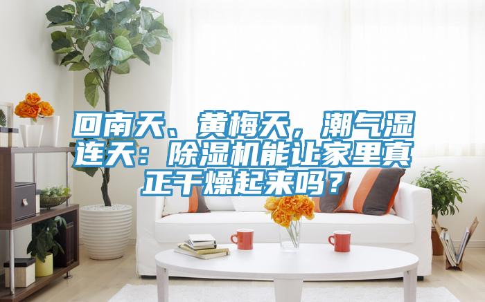 回南天、黃梅天，潮氣濕連天：除濕機能讓家里真正干燥起來嗎？