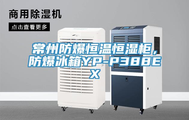 常州防爆恒溫恒濕柜，防爆冰箱YP-P388EX