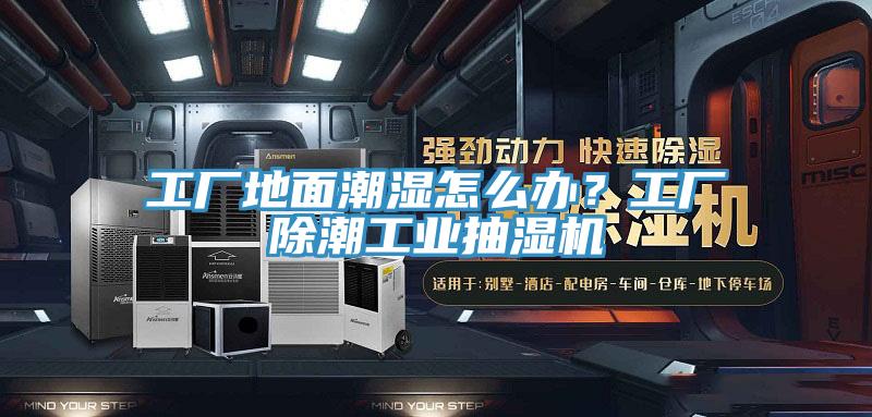 工廠地面潮濕怎么辦？工廠除潮工業抽濕機