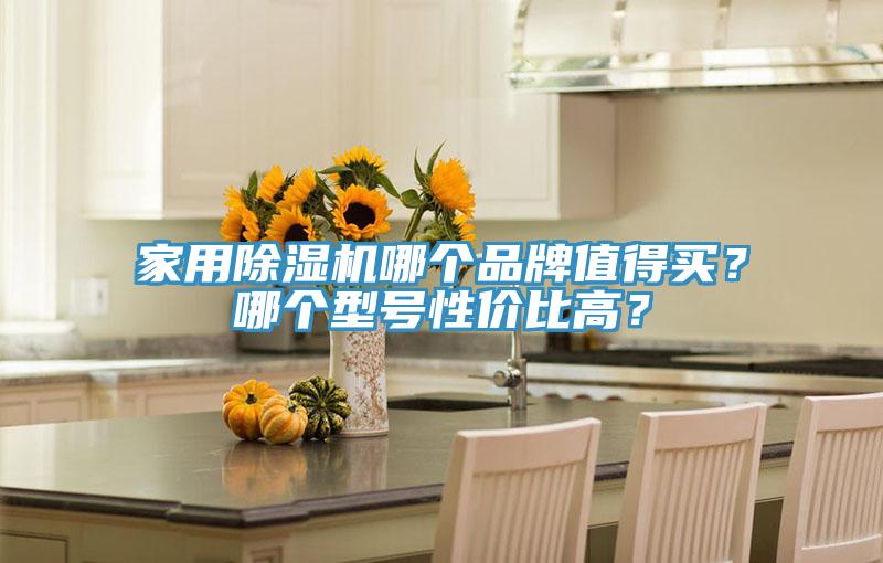 家用除濕機(jī)哪個品牌值得買？哪個型號性價比高？