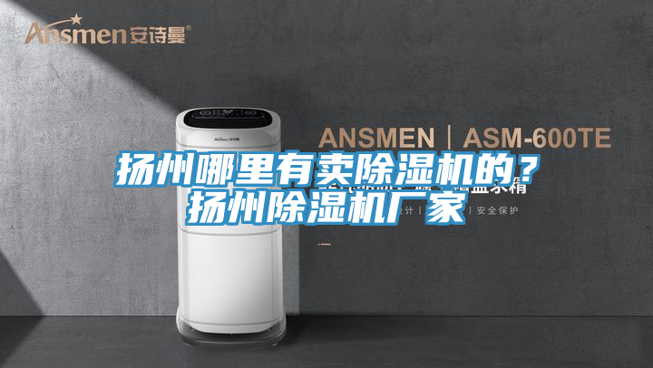 揚(yáng)州哪里有賣除濕機(jī)的？揚(yáng)州除濕機(jī)廠家