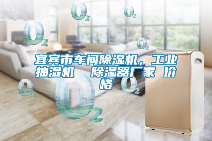 宜賓市車間除濕機，工業抽濕機  除濕器廠家 價格