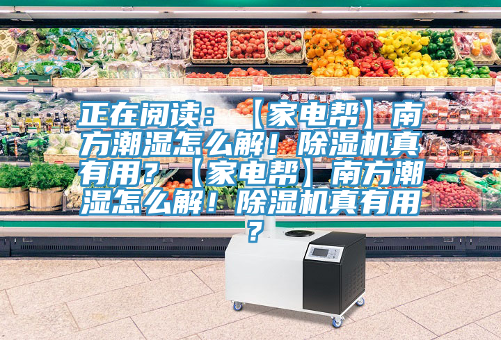 正在閱讀:【家電幫】南方潮濕怎么解!除濕機真有用?【家電幫】南方潮濕怎么解!除濕機真有用?