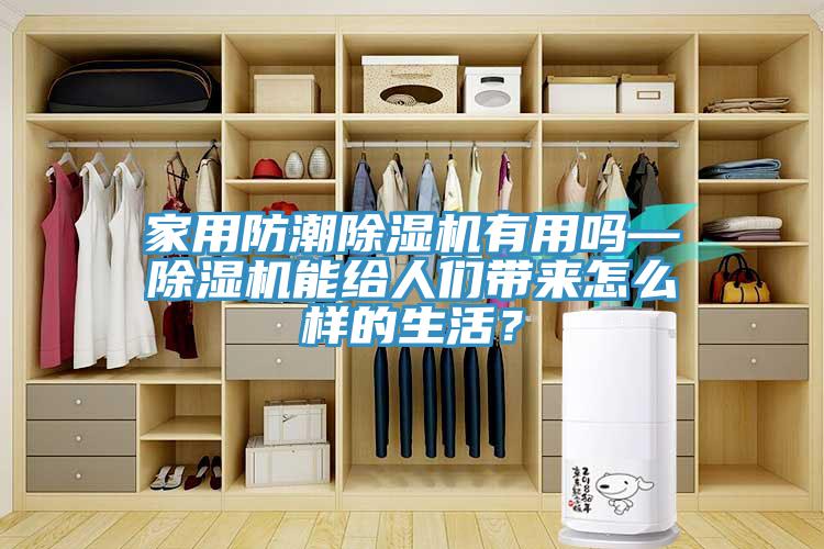 家用防潮除濕機有用嗎—除濕機能給人們帶來怎么樣的生活？