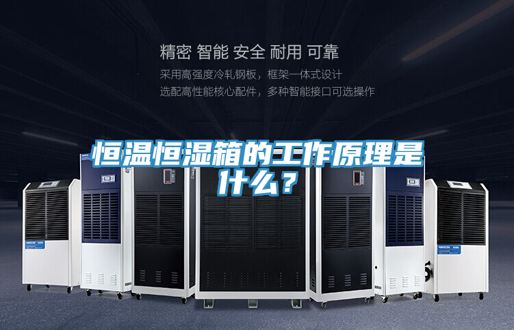 恒溫恒濕箱的工作原理是什么？