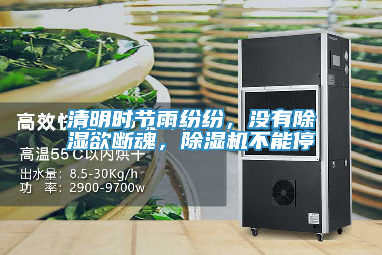 清明時(shí)節(jié)雨紛紛,沒(méi)有除濕欲斷魂,除濕機(jī)不能停