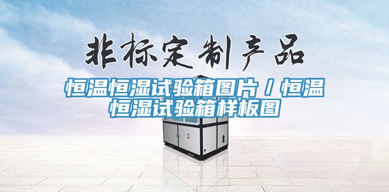 恒溫恒濕試驗(yàn)箱圖片/恒溫恒濕試驗(yàn)箱樣板圖