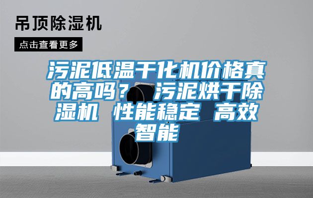 污泥低溫干化機價格真的高嗎？ 污泥烘干除濕機 性能穩定 高效智能