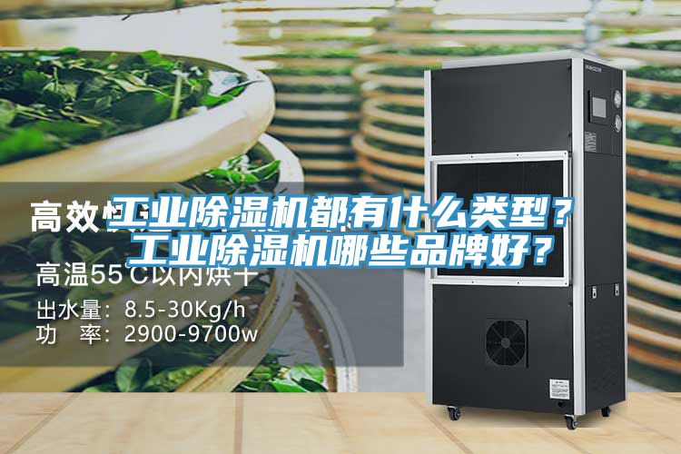 工業(yè)除濕機(jī)都有什么類型?工業(yè)除濕機(jī)哪些品牌好?