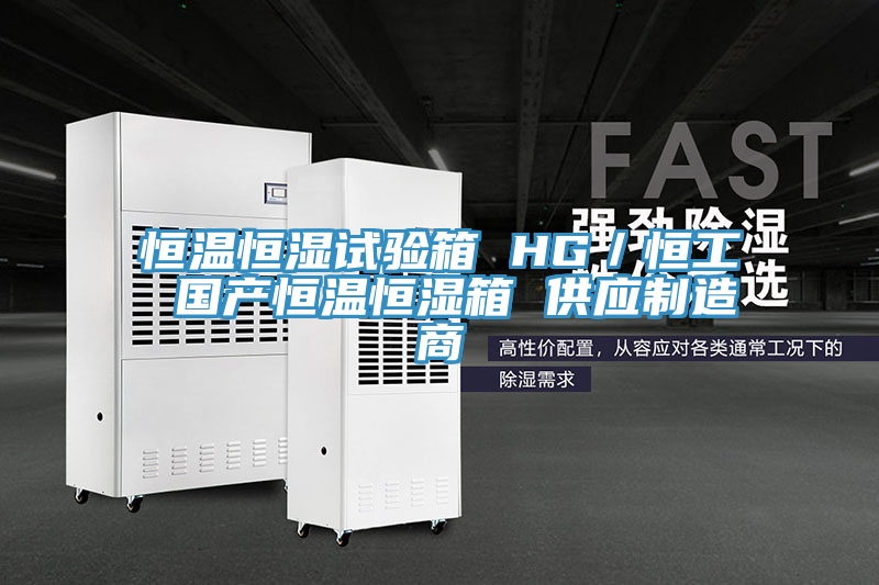 恒溫恒濕試驗箱 HG/恒工 國產(chǎn)恒溫恒濕箱 供應制造商