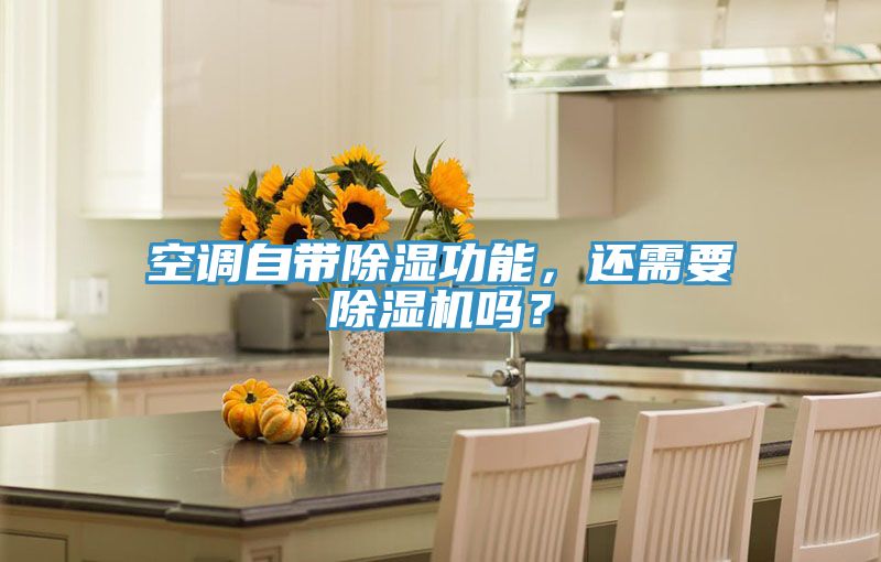 空調(diào)自帶除濕功能,還需要除濕機(jī)嗎?
