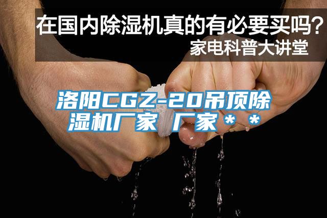 洛陽(yáng)CGZ-20吊頂除濕機(jī)廠家 廠家**