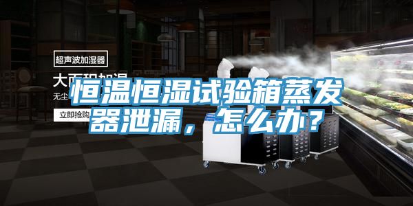 恒溫恒濕試驗箱蒸發器泄漏，怎么辦？