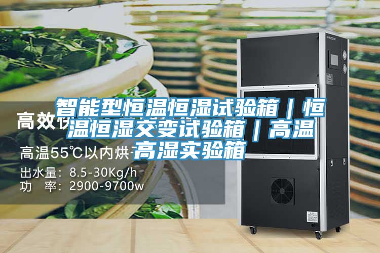 智能型恒溫恒濕試驗箱|恒溫恒濕交變試驗箱|高溫高濕實驗箱