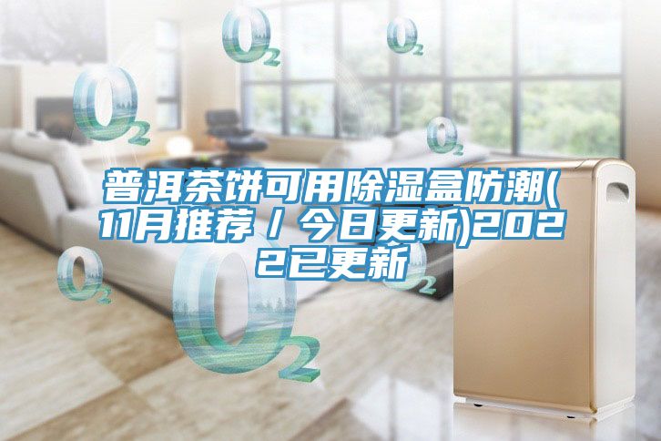普洱茶餅可用除濕盒防潮(11月推薦/今日更新)2022已更新