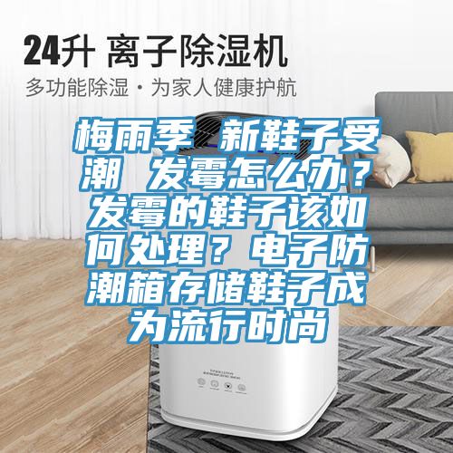 梅雨季 新鞋子受潮 發(fā)霉怎么辦?發(fā)霉的鞋子該如何處理?電子防潮箱存儲(chǔ)鞋子成為流行時(shí)尚