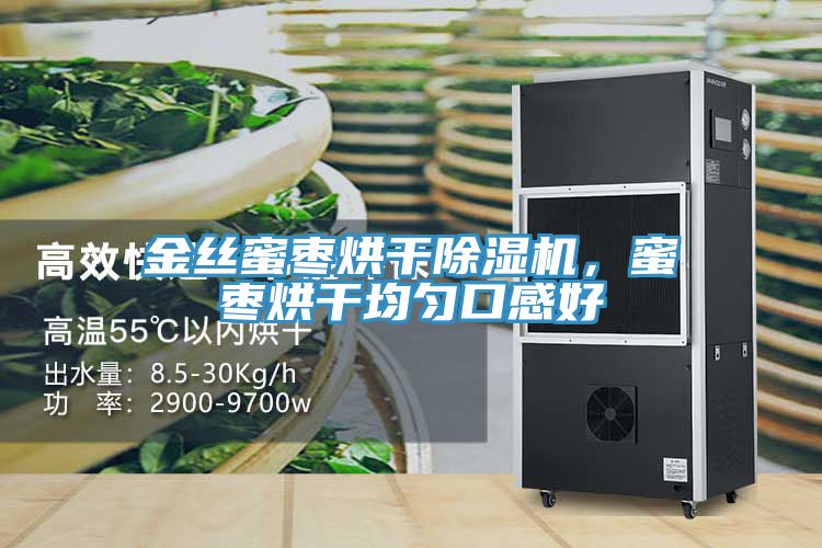 金絲蜜棗烘干除濕機，蜜棗烘干均勻口感好