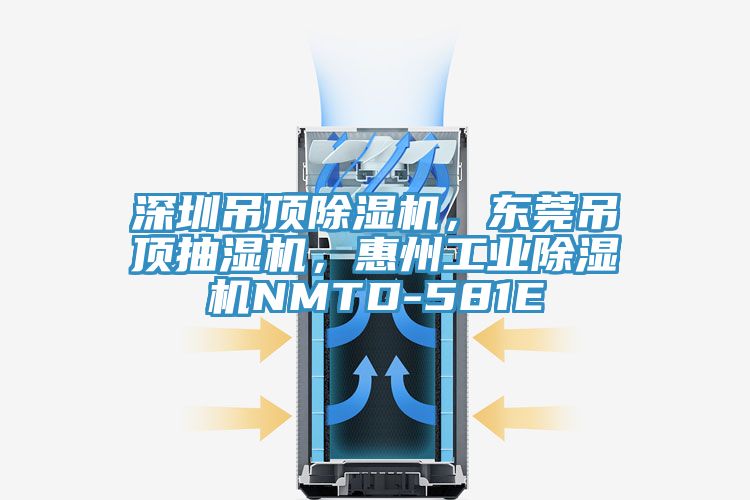 深圳吊頂除濕機,東莞吊頂抽濕機,惠州工業除濕機NMTD-581E