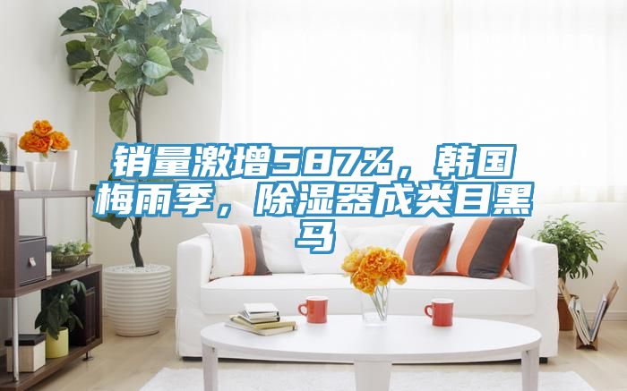 銷量激增587%，韓國梅雨季，除濕器成類目黑馬