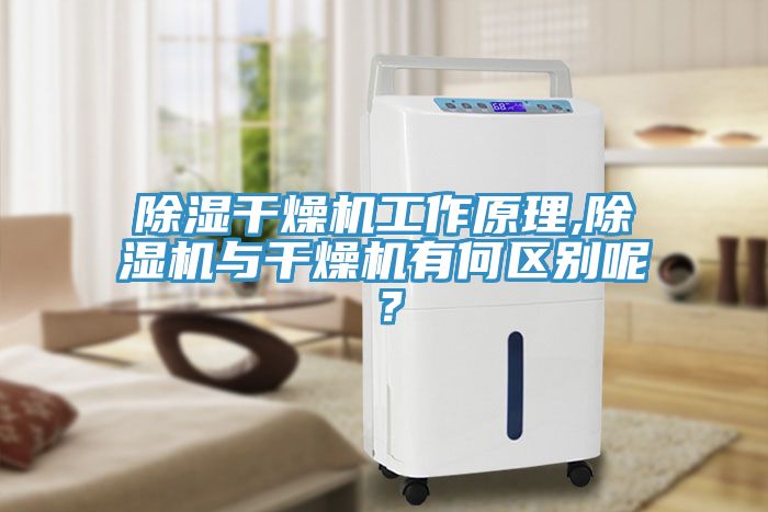 除濕干燥機工作原理,除濕機與干燥機有何區別呢？