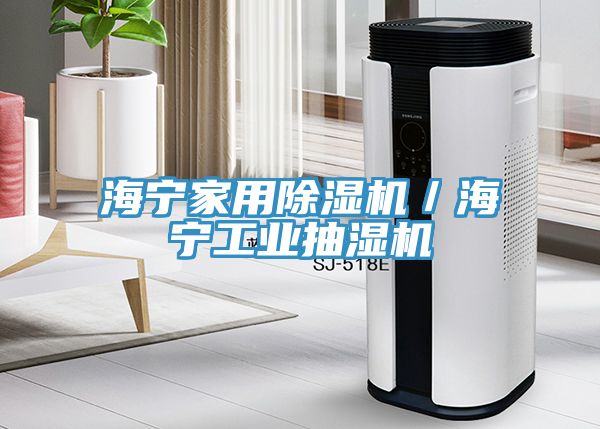 海寧家用除濕機/海寧工業抽濕機