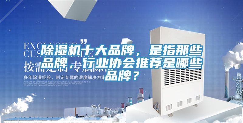 除濕機(jī)十大品牌,是指那些品牌,行業(yè)協(xié)會(huì)推薦是哪些品牌?