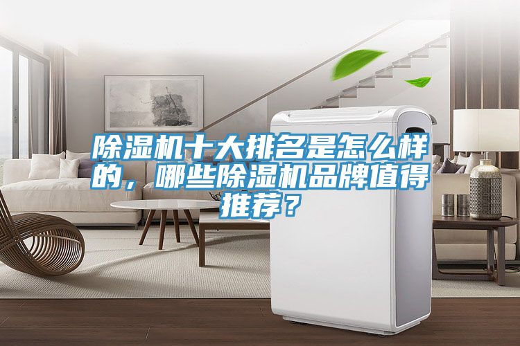 除濕機(jī)十大排名是怎么樣的,哪些除濕機(jī)品牌值得推薦?
