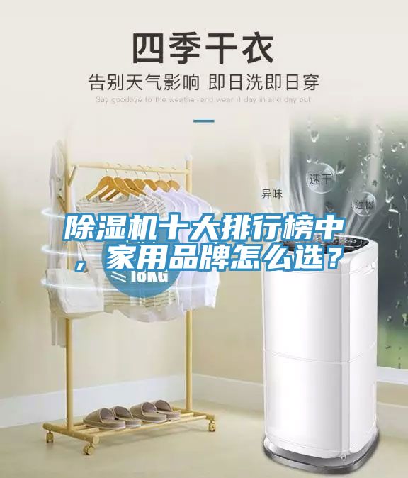 除濕機(jī)十大排行榜中,家用品牌怎么選?