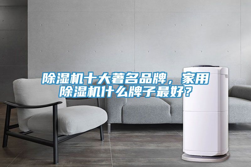 除濕機(jī)十大著名品牌,家用除濕機(jī)什么牌子最好?