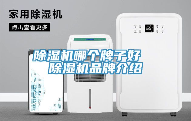 除濕機(jī)哪個牌子好 除濕機(jī)品牌介紹