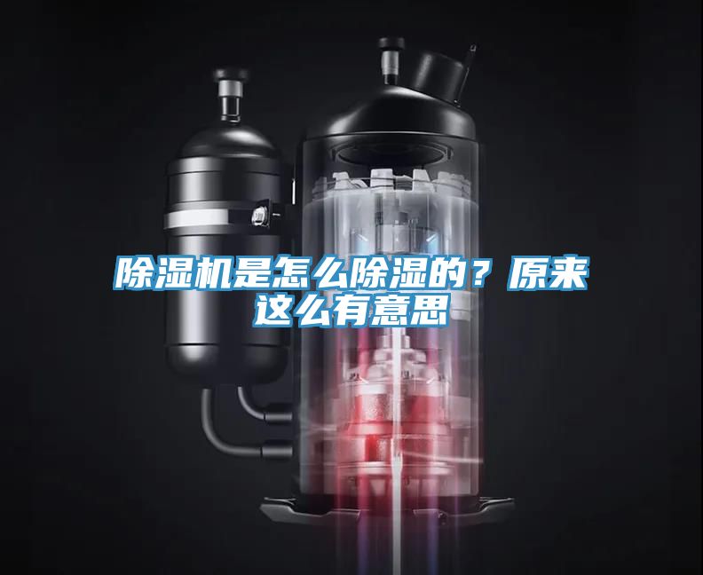 除濕機是怎么除濕的?原來這么有意思
