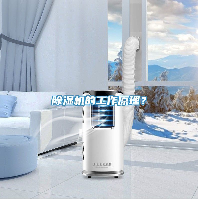 除濕機的工作原理？
