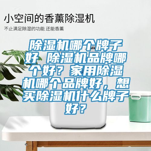 除濕機(jī)哪個牌子好 除濕機(jī)品牌哪個好?家用除濕機(jī)哪個品牌好,想買除濕機(jī)什么牌子好?