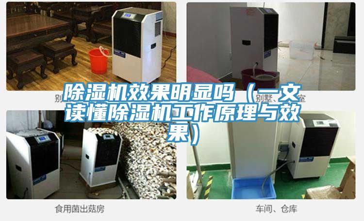 除濕機效果明顯嗎(一文讀懂除濕機工作原理與效果)