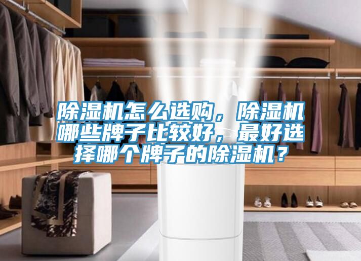 除濕機怎么選購，除濕機哪些牌子比較好，最好選擇哪個牌子的除濕機？