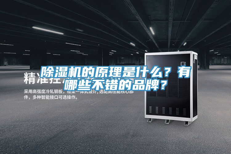 除濕機(jī)的原理是什么？有哪些不錯(cuò)的品牌？