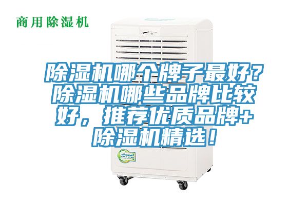 除濕機哪個牌子最好?除濕機哪些品牌比較好,推薦優質品牌+除濕機精選!