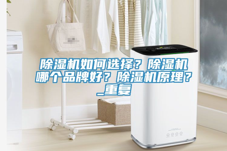 除濕機如何選擇？除濕機哪個品牌好？除濕機原理？_重復