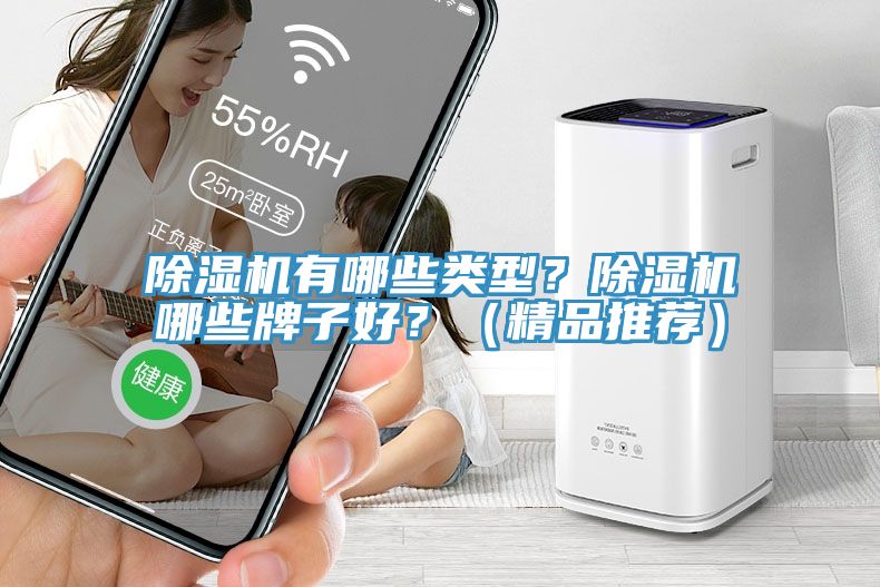 除濕機有哪些類型?除濕機哪些牌子好?(精品推薦)